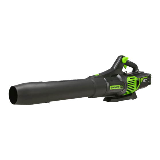 Cuerpo negro y verde de un soplador de mano Greenworks 80V con tubo sobre fondo blanco; no se muestran batería ni cargador.